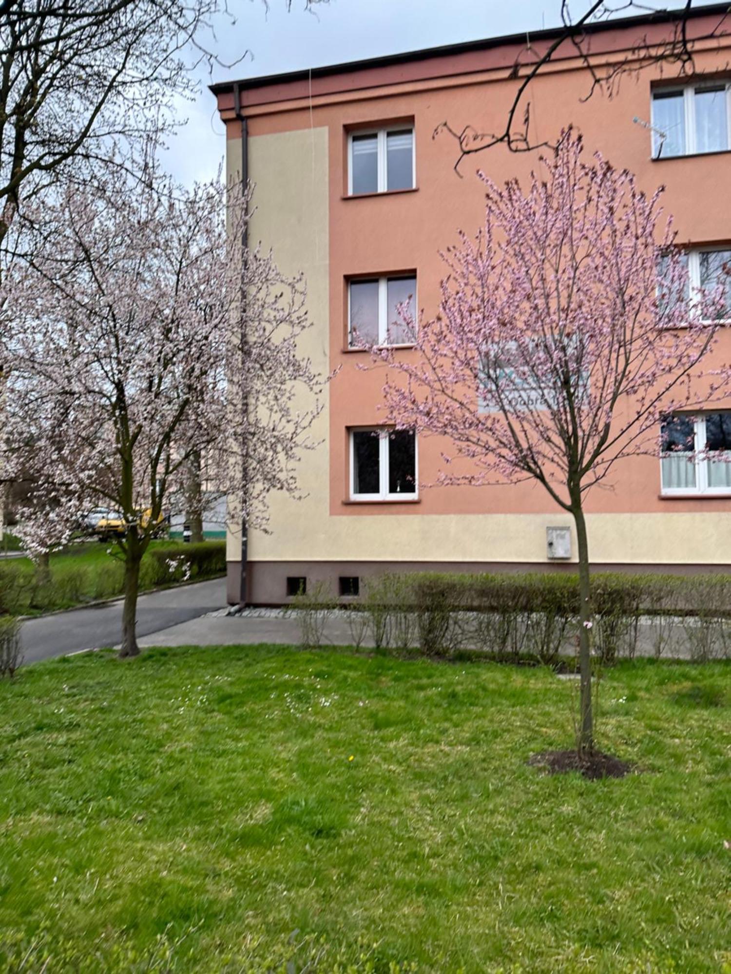 Dobra 19 Катовіце
